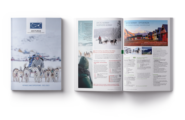 brochure-mockup-AE