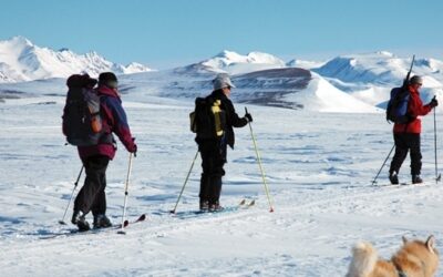 Leader’s Review: GREENLAND – Cross country Skiing in Liverpool Land