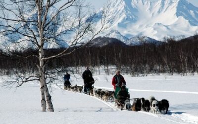 Client Report: Russian Far East – Dog Sledging in Kamchatka
